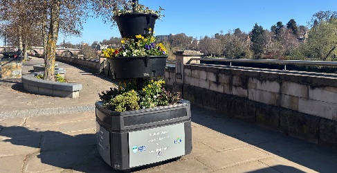 A three tiered planter sits in the forefront filled with colouring flowers. Blue sky is overhead.
